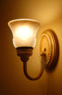 Feit Electric BPQ10T3/RP 10-Watt T3 Halogen Bulb with Bi-Pin Base, Clear, 1.25" H, BPQ10T3/RP...