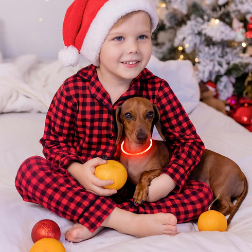 Led Dog Collars for Small Dog,Vizpet XS Light up Adjustable Collar USB Rechargeable Bright Safety Pet Collar for Cats Dogs(Orange)...