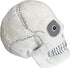 GIANTmicrobes Skull Plush, Skull Stuffed Animal, Anatomical Skull Gift, Halloween Skull Decor, Anatomy Skull, Human Skull Model Plushie, Skull Ana...