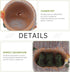 Cute Green Frog Flower Sedum Succulent Pot Planter Bonsai Trough Box Plant Bed Office Desk Home Garden Pot Decor...