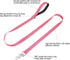 Reflective Nylon Dog Leash for Walking,Strong Dog Leash with Padded Handle for Medium and Large Dogs,6 FT,Hot pink...