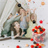 Star Ball Pit Balls, Pack of 100 Plastic Toy Balls for Kids, Gift for Baby Toddler Birthday Christmas, Ball Pool Play Tent, Baby Kiddie Pool Water...