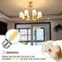 G16.5 LED Light Bulbs 60 watt, Globe Small Light Bulb, E26 Bulb Neutral White 4000K, Led Edison Bulb 6W for Celling Fan, Chandelier, Vanity Light ...