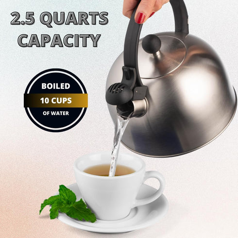 2.5 Liter Whistling Tea Kettle - Modern Stainless Steel Whistling Tea Pot for Stovetop Hot Water Boiler with Cool Grip Ergonomic Handle (Silver, 2...