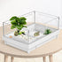 Reptile Artificial Plants, Terrarium Plants Decorations Supplies, Aquarium Fish Tank Plant, Amphibian Habitat Hideout Tank Accessories (M Set-2pcs...