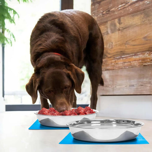 Shallow Dog Food Bowls, Non Slip Food Grade Stainless Steel Bowls for Large Dogs - 8 Cups / 2 Quart (2 Pcs)...