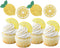 Oskal 24Pcs Glitter Lemon Cupcake Toppers Fruits Theme Party, Lemonade Party Decor, Summer Cupcake Toppers, Main Squeeze Party Decorations Tutti F...