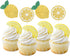 Oskal 24Pcs Glitter Lemon Cupcake Toppers Fruits Theme Party, Lemonade Party Decor, Summer Cupcake Toppers, Main Squeeze Party Decorations Tutti F...