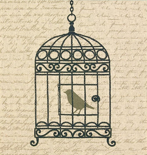 Dimensions Needlecrafts Stamped Embroidery, Vintage Birdcage......