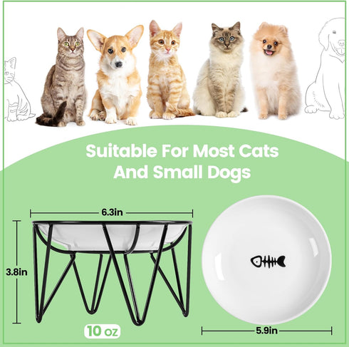 Ceramic Cat Bowls, 2 Pack - Raised, Whisker Friendly, Anti-Vomiting Cat Food Plates - Hygienic, Secure Material, Elegant Stand, 10 oz, for Indoor ...