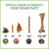 Pet Factory Real Chewz Premium Pig Ears Dog Chew Treats, 100% All-Natural - 7 Count/1 Pack...