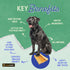 Chewmeter Himalayan Yaky Cheese Chew, 100% Natural, Long Lasting, Gluten Free, Healthy & Safe Dog Treats, Lactose & Grain Free, Protein Rich, Stai...