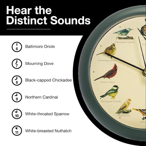 Mark Feldstein, The Original Singing Bird Clock, 8 Inch, Green...