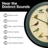 Mark Feldstein, The Original Singing Bird Clock, 8 Inch, Green...