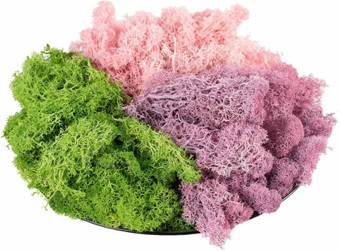 9 OZ Preserved Moss, Natural Live Moss, Fake Moss for Potted Plants, Spanish Moss for Terrariums Gardening Art, Vase Fillers, Craft Floral Wall, W...