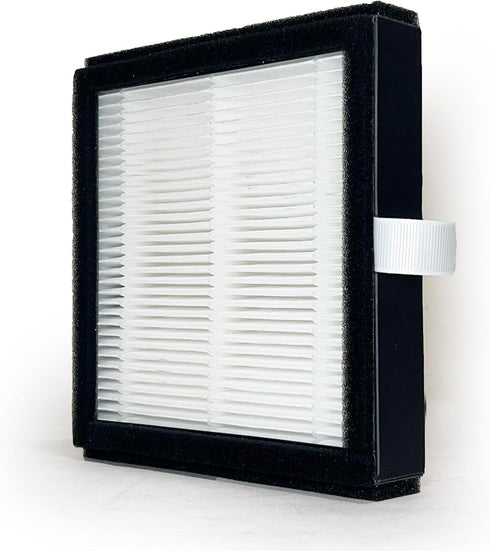 Nispira DH02 True HEPA Filter Replacement for Tenergy Sorbi Air Purifier Dehumidifier/Afloia AQ8 Q8 / Honati/Hysure Q7 1 Pack...
