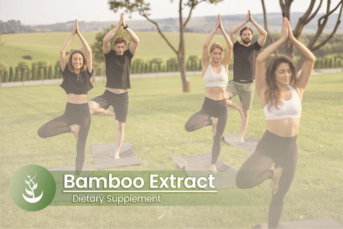 Pure Original Ingredients Bamboo Extract, Always Pure, No Additives Or Fillers, Lab Verified (100 Count)...