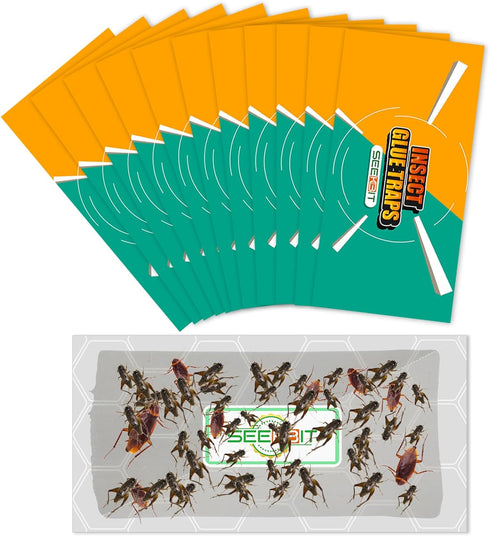10 PCS Large Glue Trap Strips for Trapping Insects, Mice, Spiders, Bugs, Crickets, Scorpions, Roaches, Super Sticky & Non-Toxic Glue Boards Pre-Ba...
