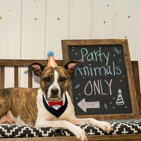 1 Piece Red Formal Dog Tuxedo Bandana, Dog Tuxedo Cotton Bandana Dog Wedding Collar with Bow Tie and Neck Tie for Dogs and Cats, L...