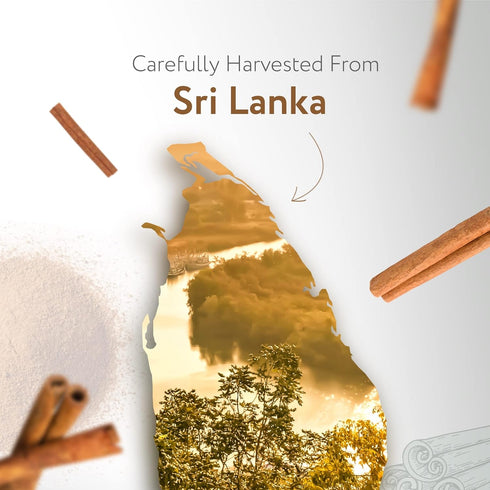HBNO California Bottled Cinnamon Essential Oil (Leaf) 4 fl oz (120ml) - Natural Cinnamon Oil - Perfect for Cleaning, Aromatherapy, DIY, Soap & Dif...