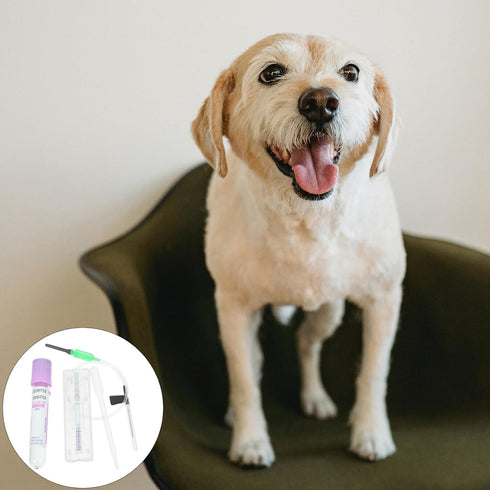 Dog Pregnancy Test Kit at Home, Fast Accurate Detection Pregnant Test Paper Strip for Dog, Cat Veterina Disposable Pet Clinic Equipment - Instruct...