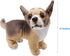 Lifelike Chihuahua Stuffed Animal Animated Plush Puppy Toy Doll Super Realistic Dogs Act Like Real Excellent Gifts for Kids Birthday Party Dog Col...