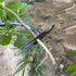 New Weeding Artifact Uprooting Weeding Tool, 16 Inch Premium Steel Weed Puller 4 Teeth Dual Purpose Hand Weeder Tool, Weeding Pulling Tool for Gar...