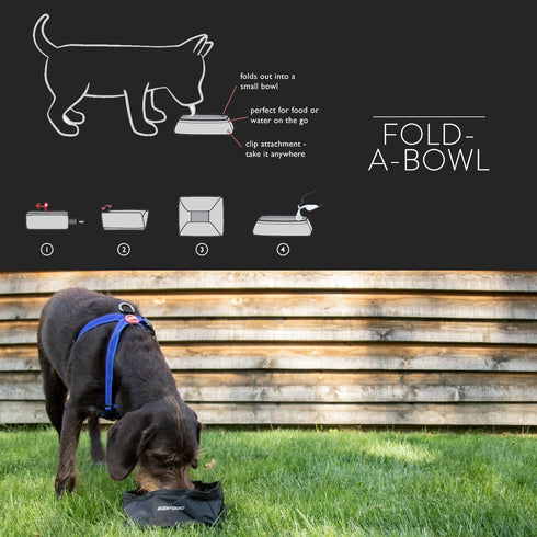 EzyDog Fold-A-Bowl Portable Dog Bowl - Leak Proof Design and Folds Flat for Easy Transport - Storage Bag Includes Clip for Attachment While Walkin...