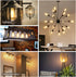 BORT ST58/ST19 Vintage LED Edison Bulbs, Warm White 2700K, Dimmable 6W Edison Light Bulbs, 60W Equivalent, 700LM, E26 Standard Base Filament LED B...