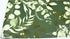 HAOKHOME 93042-4 Peel and Stick Wallpaper Boho Sage Green Eucalyptus Leaf Floral Wall Mural Home Nursery Decor Renter Friendly Wallpaper 17.7in x ...