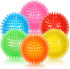 petizer 6 Pack 3.5” Squeaky Dog Toy Balls, Floating Dog Pool Balls, Spiky Dog Balls, Durable Interactive Fetch Toys for Puppy, Dog Chew Toys for T...