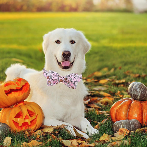 Lionheart glory Halloween Dog Collars Fall Dog Collar Pink Bowtie Girl Boy Pet Collar Dogs Pumpkin Collar Bows Duty Adjustable Dog Bow Collars for...