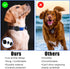 2pcs Dog Collar Holder for AirTag, Waterproof Dog Collar Holder Anti-Loss Soft Silicone Protective Case Cover for Pets Dog Cats Compatible with Ap...