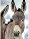 TUTUMAY21 Donkey Diamond Painting Kits Winter Donkey Art Painting 5D DIY Full Round Drill Adults Beginners, Personalized Gifts for Family Friends ...
