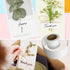 Lineco Self-Stick Linen Hinging Tape, Attaching Mats to Backboard, Hinge Heavy Artwork, Non-Yellowing, Strong, Neutral pH Acrylic Adhesive. Acid-F...