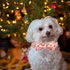 Elegant little tail Dog Collar with Bow - Christmas Gingerbread Man Dog Collar Bow Boy Girl Dog Bowtie Pet Gift Adjustable Dog Collar for X-Large ...