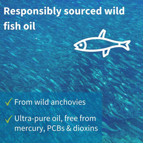 Vegepa Omega 3 Wild Fish Oil & Evening Primrose Oil Blend, 560 mg EPA Plus GLA, 60 Small Softgels...