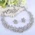EVER FAITH Bridal Austrian Crystal Jewelry Set, Elegant Cluster Flower Leaf Necklace Earrings Set for Women...