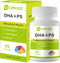 DHA & Omega Softgels for Adults, with Phosphatidylserine, Walnut Oil & Omega-3, Supports Healthy Brain Function, Vision and Memory, Gluten Free, N...