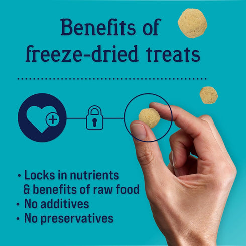 Stewart Freeze Dried Dog Treats, PuffPops Bacon and Cheeseburger Recipe, Gluten Free, 2.8 Ounce Resealable Pouch, Made in USA, Dog Training Treats...