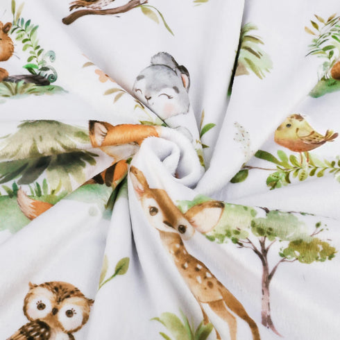 BORITAR Baby Blanket for Boys Girls Super Soft Double Layer Minky with Dotted Backing, Lovely Woodland Animal Design Blanket for Toddler Newborn 3...