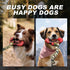 Dog Toys for Aggressive Chewers - Interactive Dog Toys for Large Dogs, Durable Dog Chew Toys Perfect for Aggressive Chewers, Tough Dog Toys for Bo...