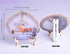 AMOYSTONE Large Agate Slice Art Painting Table Display Natural Agate Geode Stone Piece Decorative Plate with Stand Home Office Decoration Unique G...
