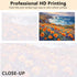 Rebotipy Flowers Paint by Numbers for Adults A Field of Poppies on The Coast Paint by Number on Canvas Without Frame,DIY Oil Painting for Gift Hom...