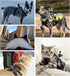 Dog Harness Mount for Gopro, Soft and Adjustable Dog Harness Vest with 2 Mouting Base Pet Chest and Back Fixation for Gopro Hero All Models, Suita...