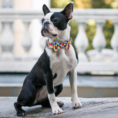 Dog Collars with Bow Tie Colorful Geometry Patterns, Small Puppy Dog Collars with Bow, Adjustable Dog Collar for XS Small Medium Large Dog (Colorf...