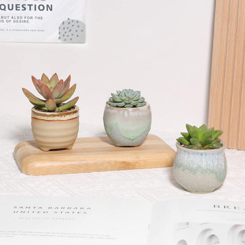 T4U Small Ceramic Succulent Pots with Drainage Set of 3, Mini Pots for Plants, Tiny Porcelain Planter, Air Plant Flower Pots Cactus Faux Plants Co...
