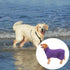 Geyecete Dog Bathrobe Towel Dog Drying Coat-Dry Fast Dog Bag-Pineapple grid Fast Drying Super Absorbent Pet Dog Cat Bath Robe Towel-Purple-M...