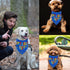 Birthday Boy Dog Bandana, Printed Dog Bandana Pet Scarf Dog Birthday Party Supplies for Dogs Pet Accessories for Dog Lovers Reveal Ideas...