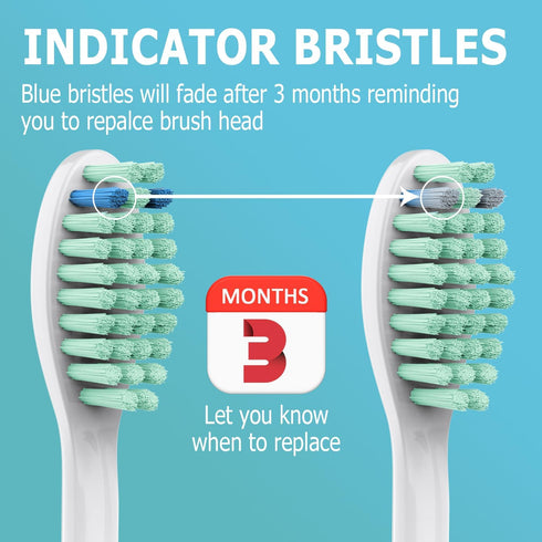 Replacement Toothbrush Heads Compatible with Philips Sonicare Screw-on E-Series, Xtreme, CleanCare Electric Toothbrush, Sonicare Replacement Heads...